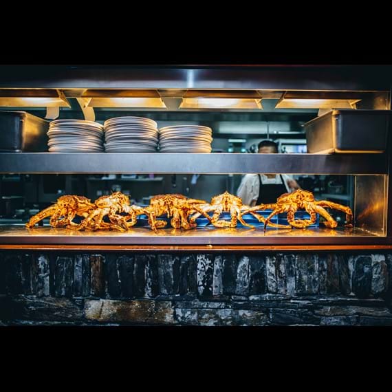 row of crabs under heat